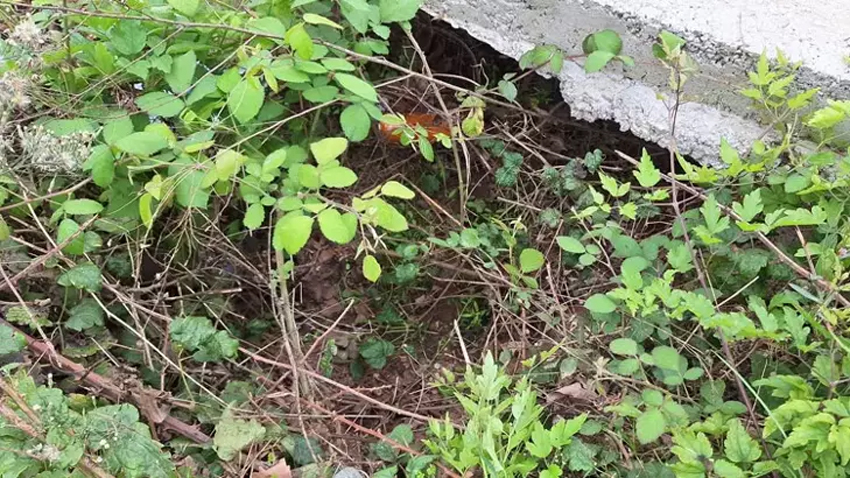 Su kanalında 1 haftalık bebek bulundu!