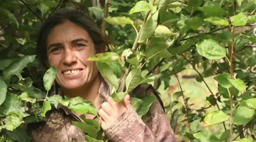 MİT’ten nokta operasyon!