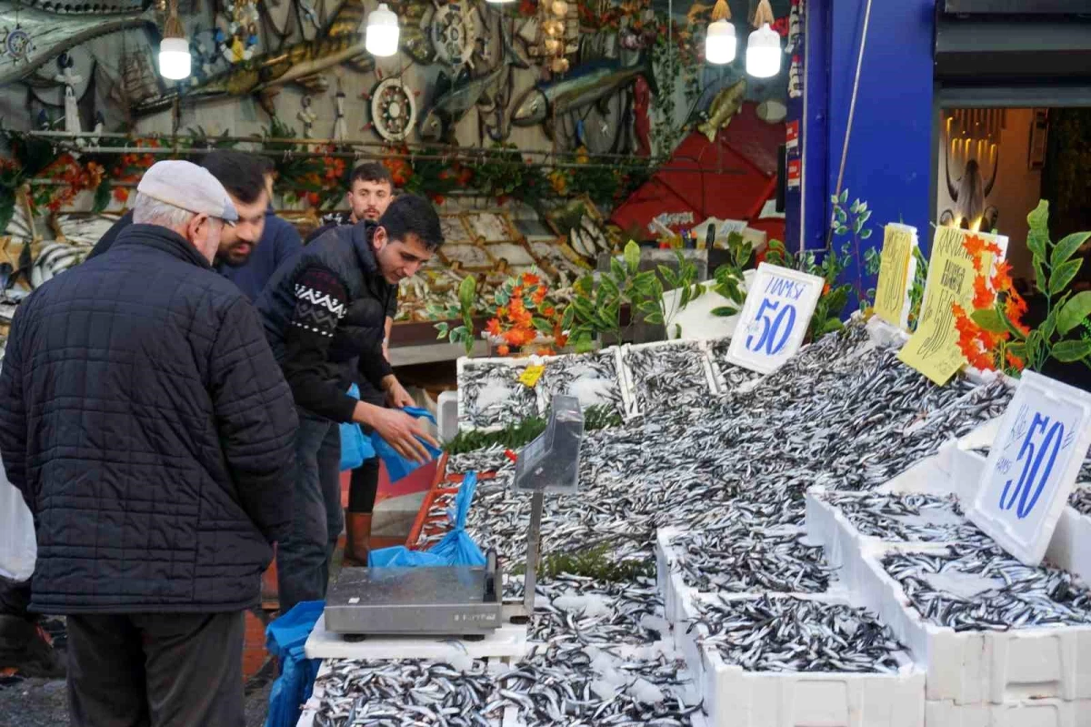 Hamsinin fiyatını duyan tezgahlara akın etti