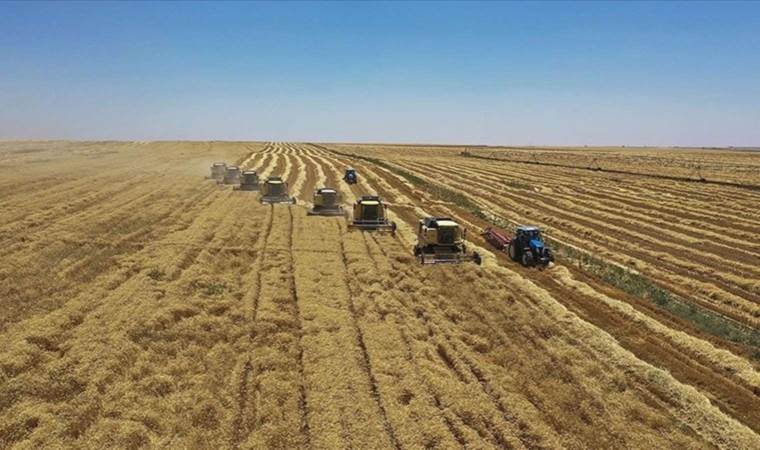 Tarımsal destek ödemeleri arttırıldı