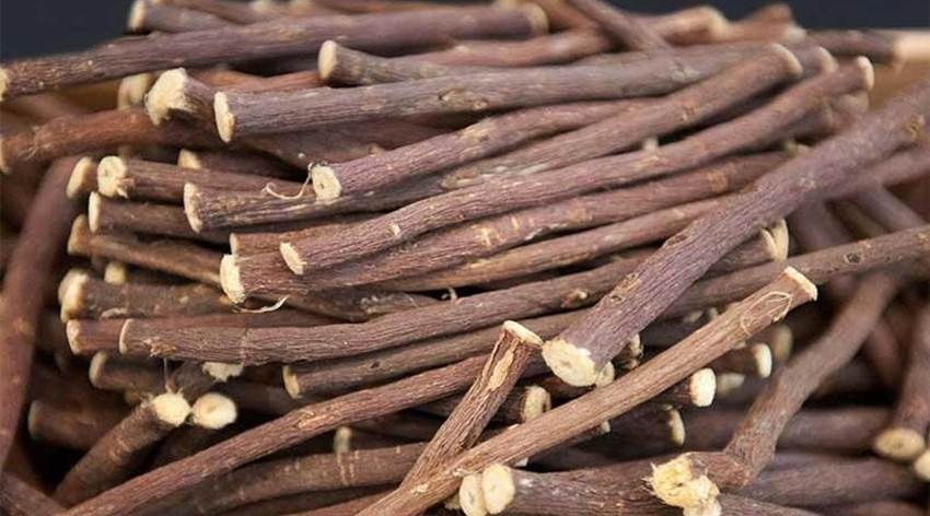 Evliya Çelebi 70 çeşit faydasını açıklamış!