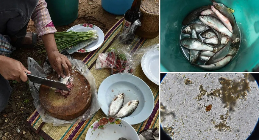 Dünyanın en tehlikeli yemeği bakın ne seçildi!