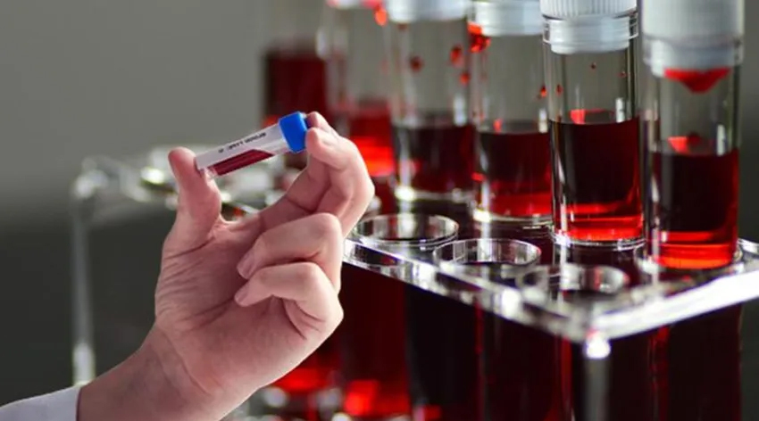 Japon bilim insanları açıkladı!