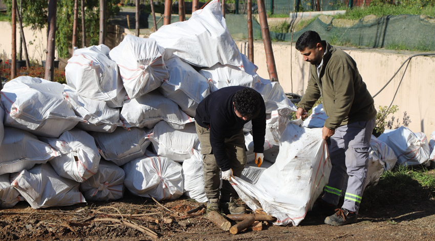 Kartal’da budanan ağaç dalları ihtiyaç sahiplerine yakacak oluyor