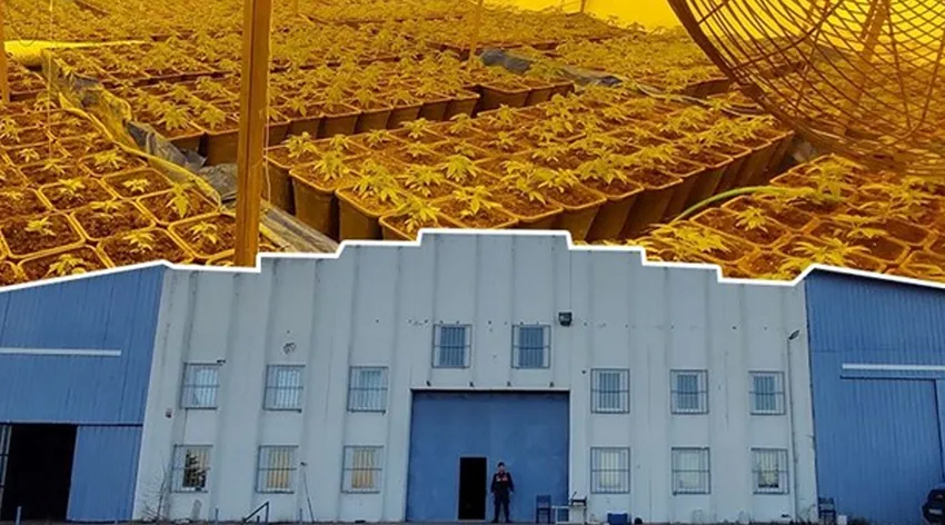 Dışı fabrika içi uyuşturucu serası