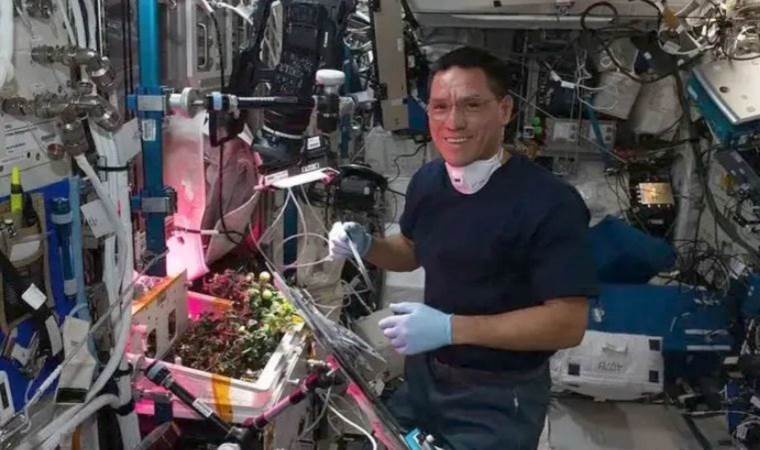 Uzaydaki kayıp domates skandalı sonunda çözüldü