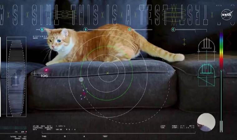 31 milyon km uzaktan gelen kedi videosu