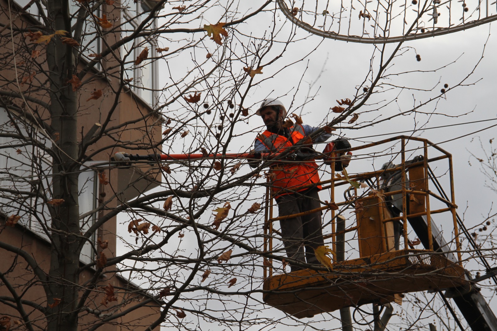 Kartal’da budanan ağaçlar ihtiyaç sahiplerine veriliyor