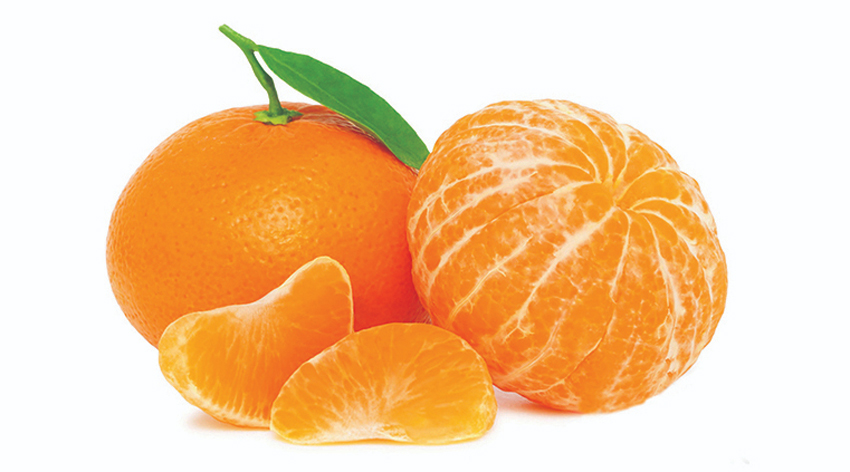 Bahçede 3 markette 45 lira!