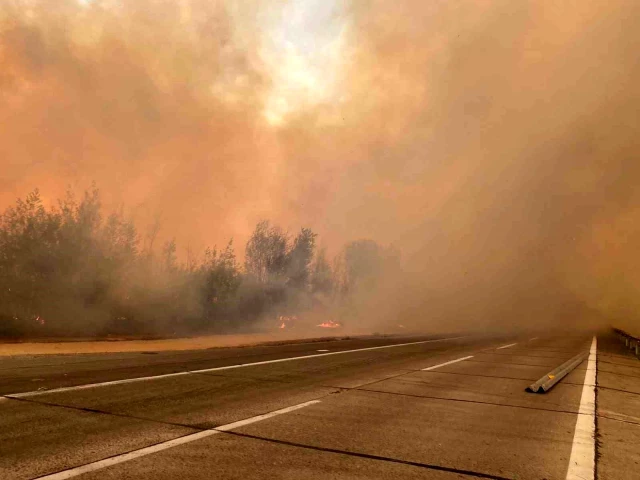 Şili'de orman yangını yerleşim yerlerine sıçradı! 10 kişi hayatını kaybetti, OHAL ilan edildi
