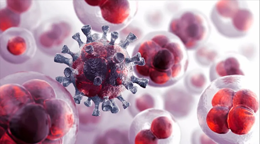 Bu gıdaları evinize sokmayın!