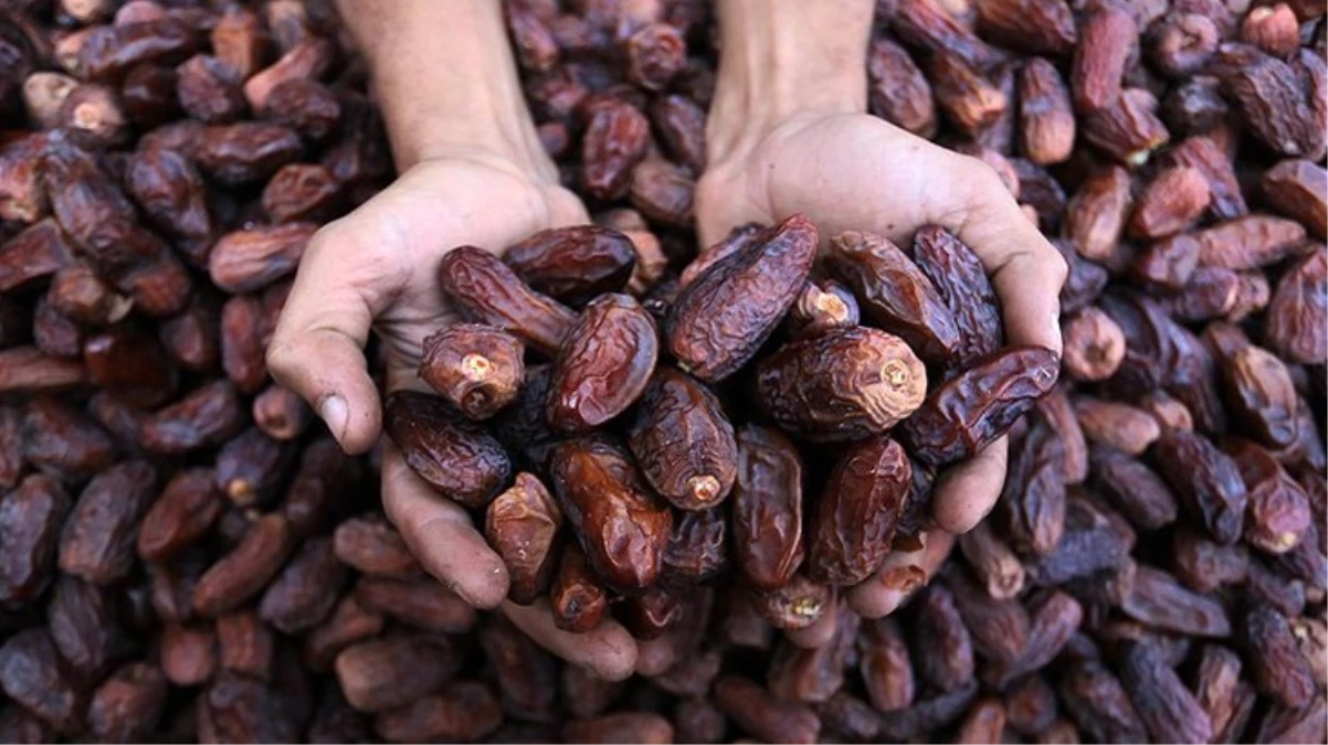 Ramazan’ın vazgeçilmezi hurma fiyatları el yakıyor