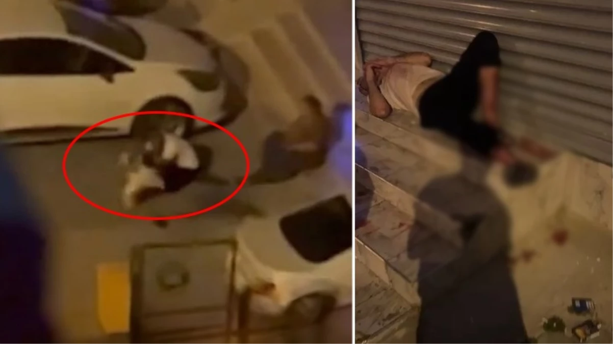 Evden kaçan pitbull dehşet saçtı!