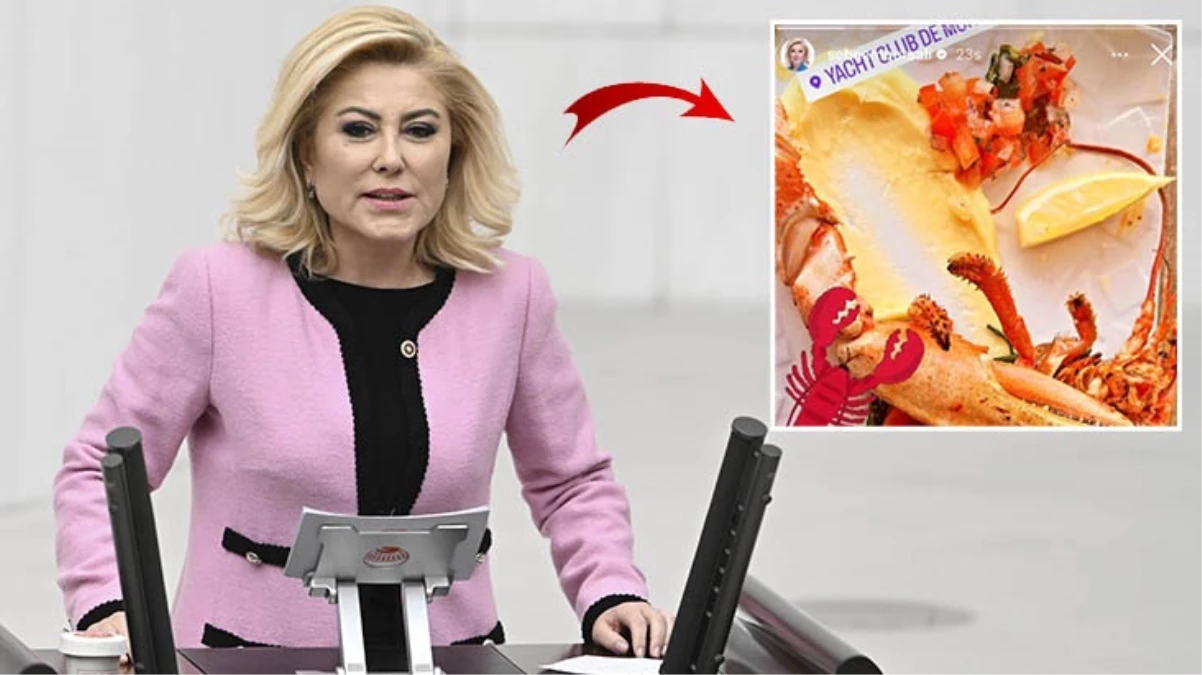 Şebnem Bursalı’dan ıstakoz paylaşımına ilginç savunma