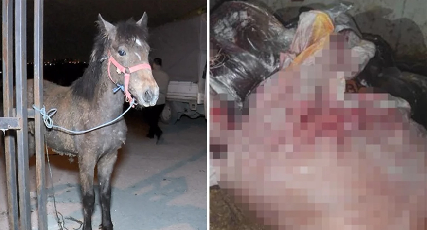 At eti kesim merkezine baskın!