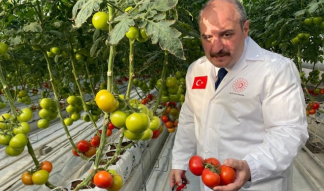 Erzurum’a Antalya iklim şartlarına göre sera!