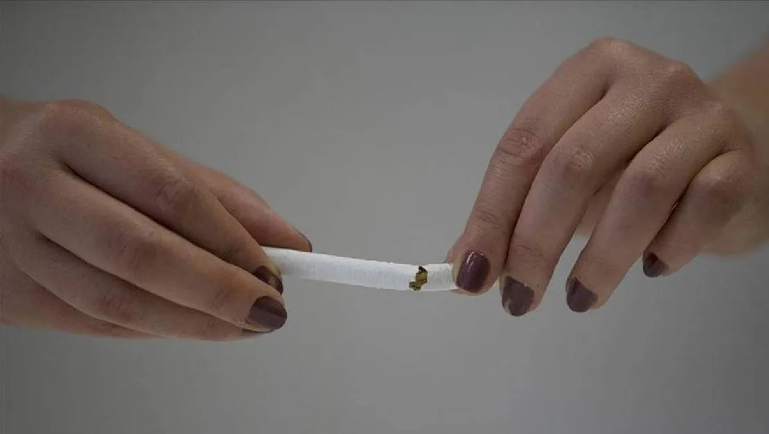 Zamlı sigara fiyatları kaç TL?