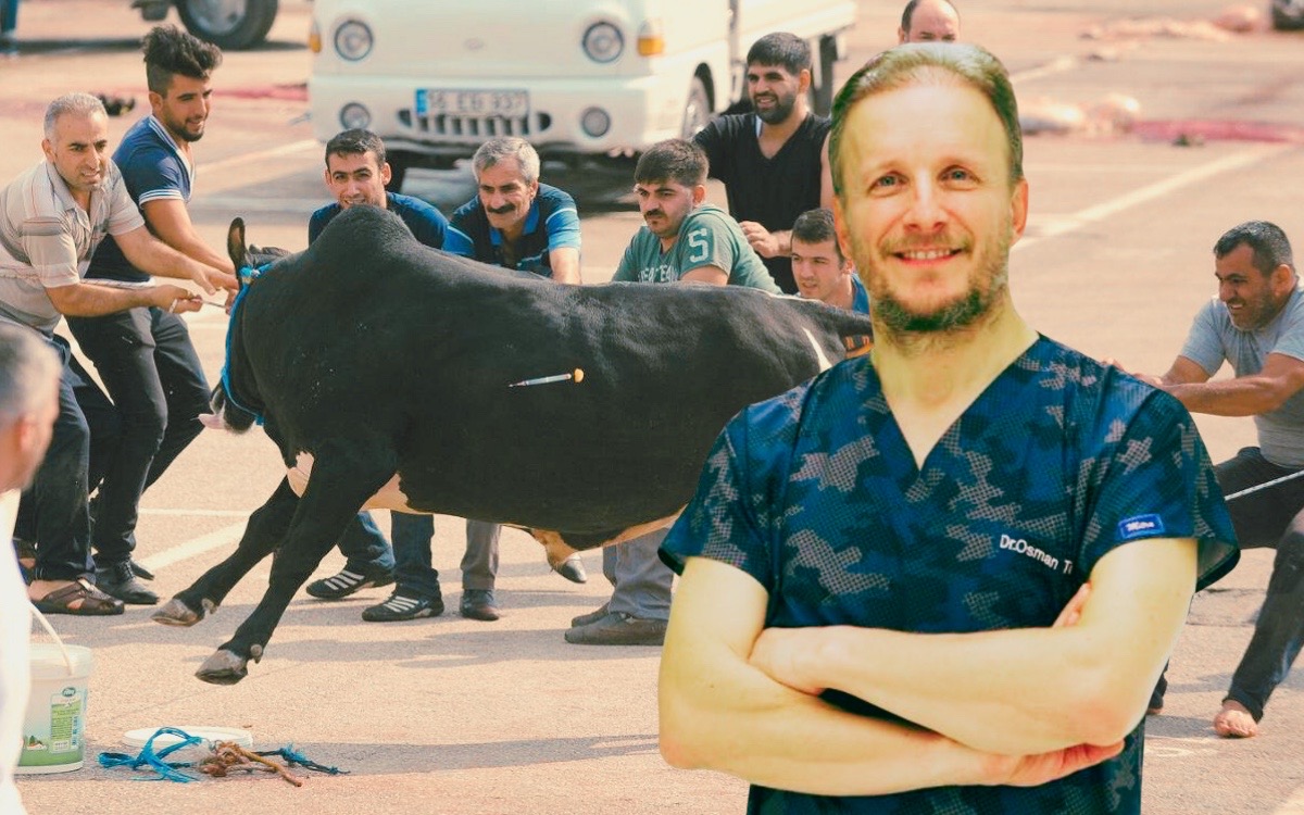 Acemi kasaplar dikkat!