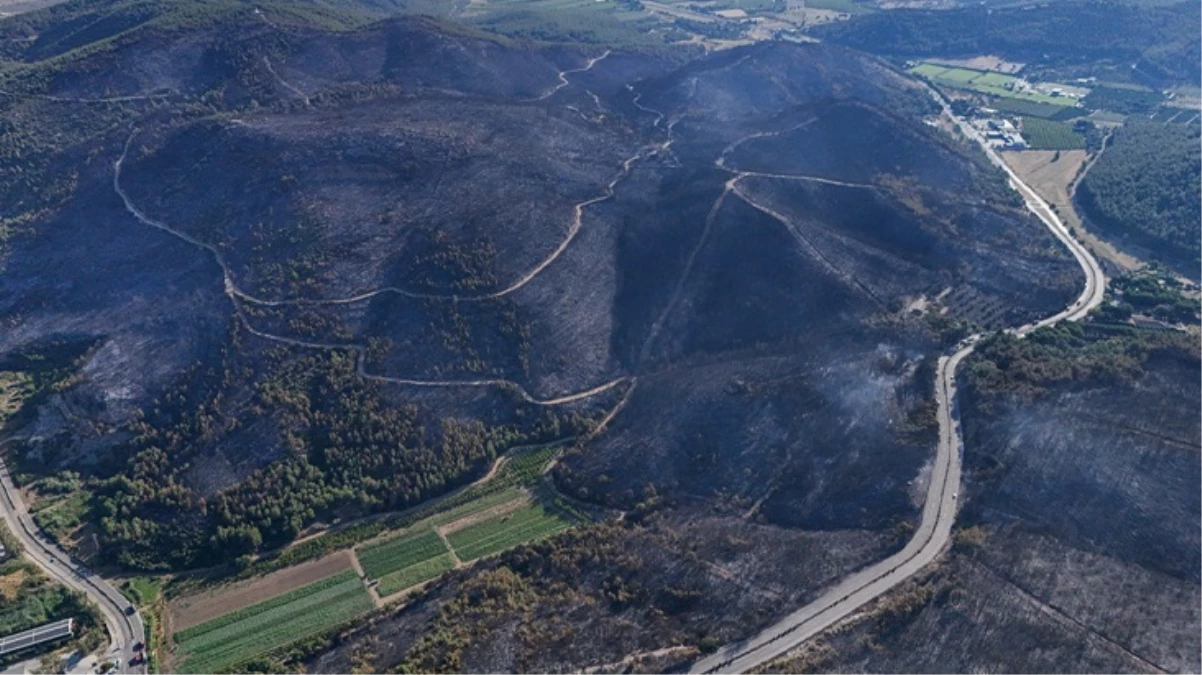 İzmir’de zarar gören ormanlık alan havadan görüntülendi