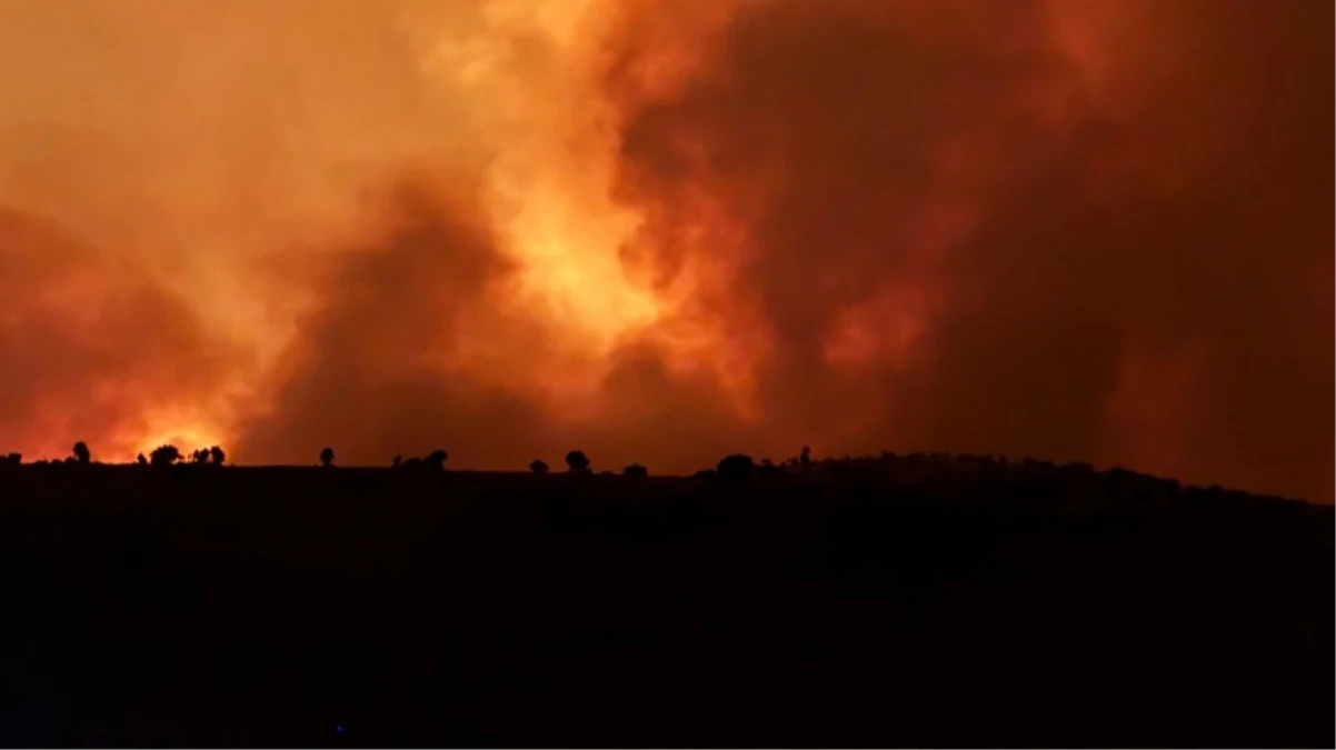 Diyarbakır ve Mardin’deki anız yangının korkunç bilançosu