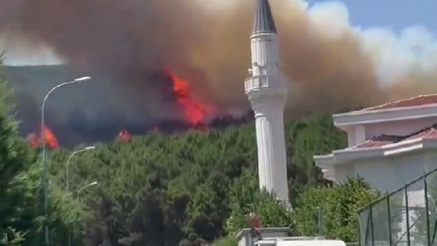 Pendik Aydos Ormanı’nda yangın çıktı!