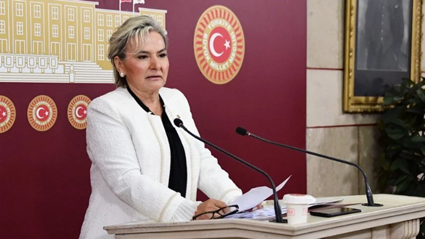 Nimet Özdemir İYİ Parti’den istifa etti