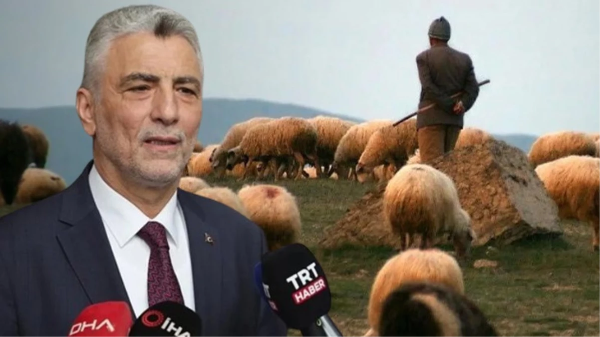 Ömer Bolat’ın Afgan çoban çıkışı tartışmalara yol açtı