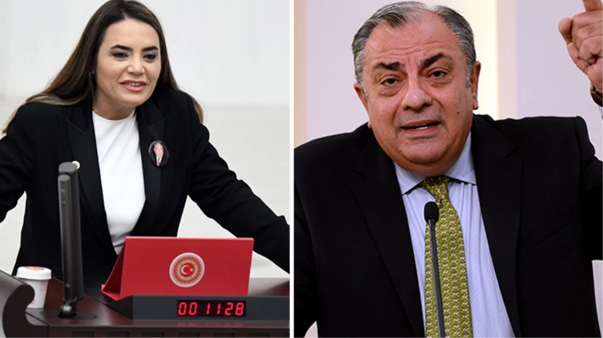 Türkeş kardeşler sosyal medyada birbirine girdi
