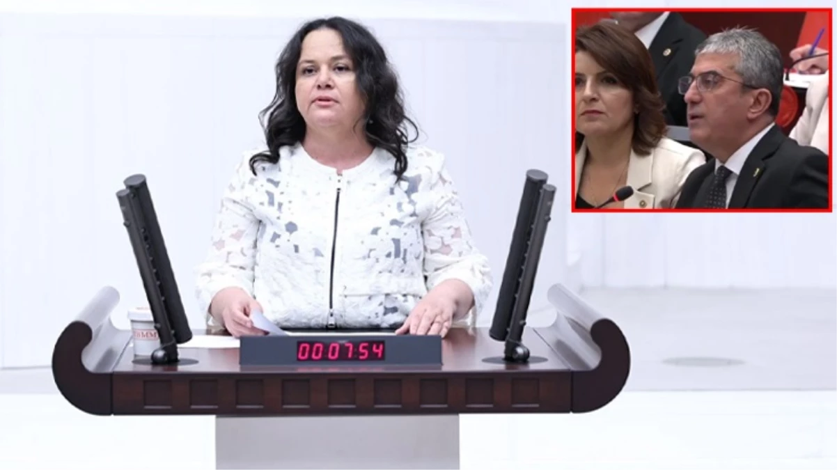 Nilgün Ök eşinin şirketinin vergi ödemediğini kabul etti