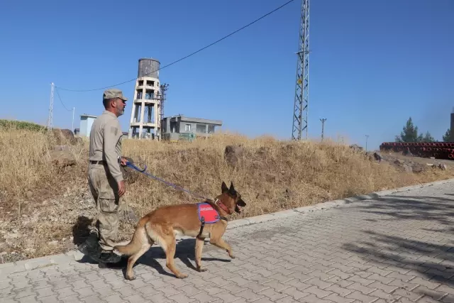 8 yaşındaki Narin her yerde aranıyor: Şikayetçi değiliz, yeter ki kızımızı bize teslim etsinler