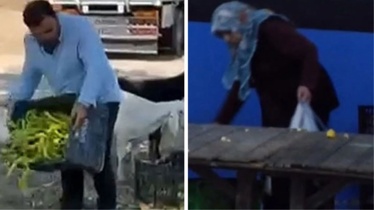 Üretici satamıyor, vatandaş alamıyor!