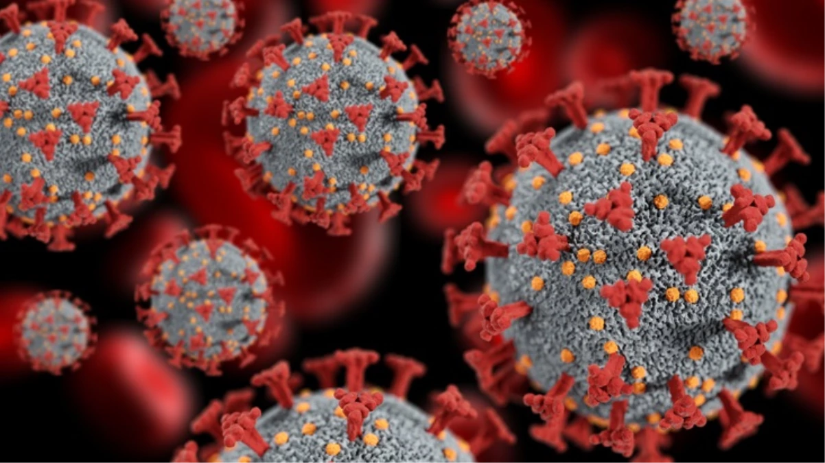 Maymun çiçeği nasıl bulaşıyor, belirtileri neler?