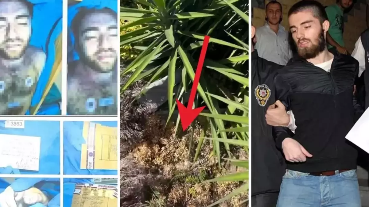 Cem Garipoğlu’nun mezarı ne zaman açılacak?