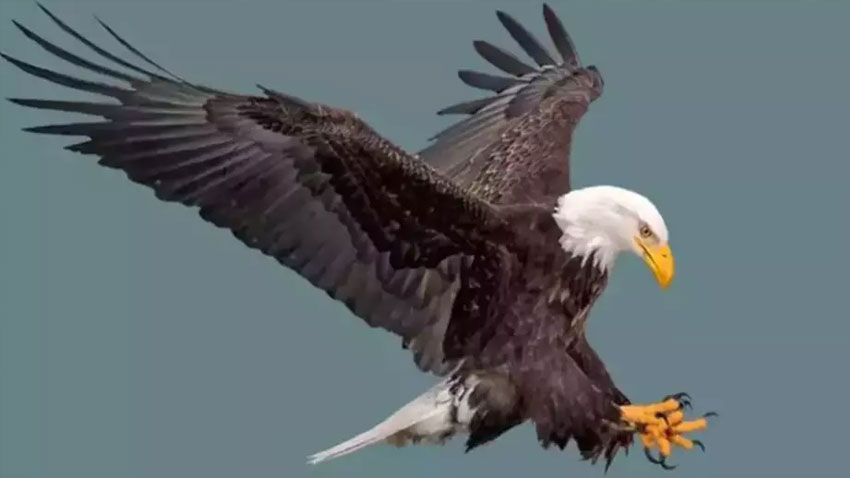 Fatma Girik’in ‘Boş Beşik’ filmi gerçek oldu!