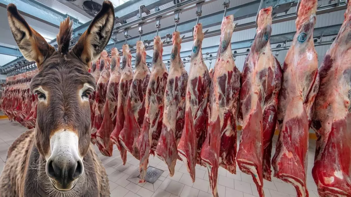 Bu markalardan uzak durun!