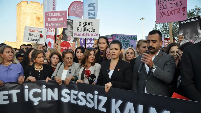 CHP’den Surlar’daki vahşete sert tepki!