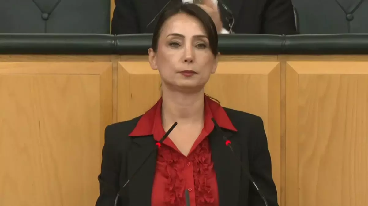 DEM Parti’den Bahçeli’nin Öcalan çağrısına yanıt