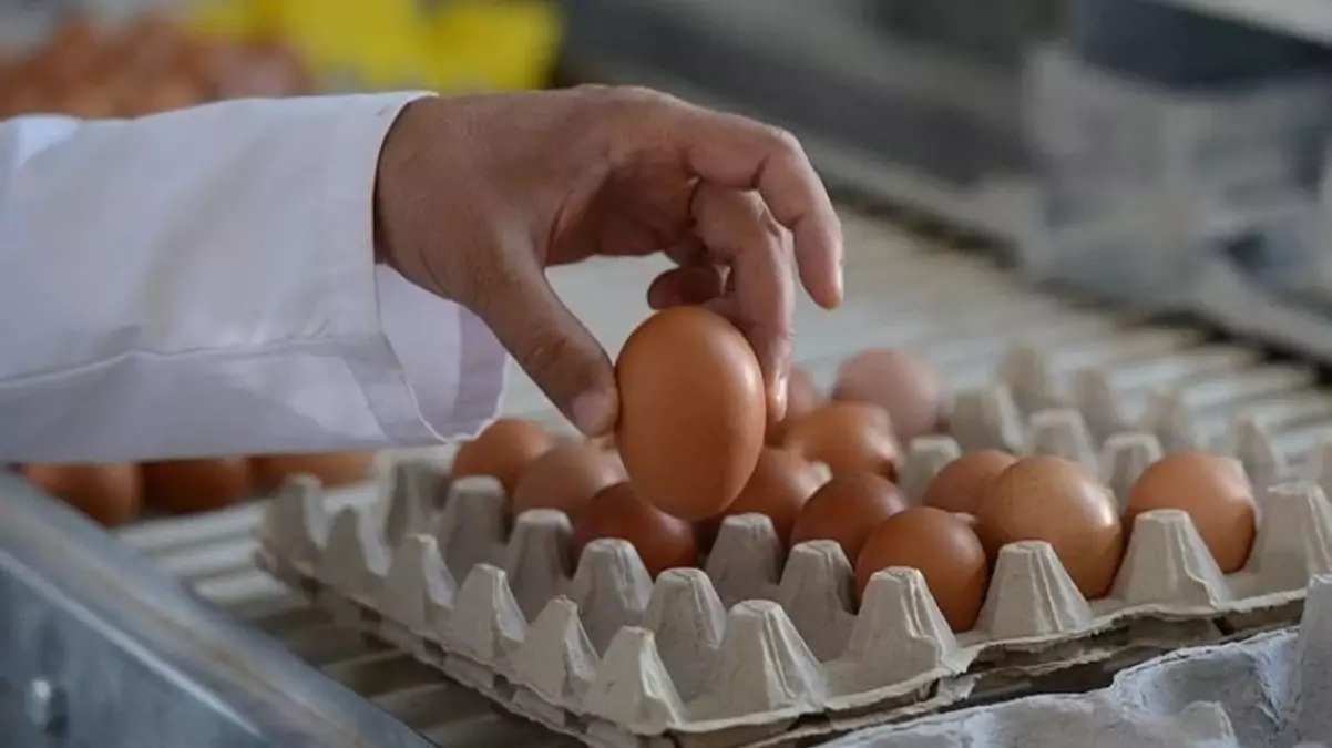 Yumurtaya gelen zam enflasyonu solladı