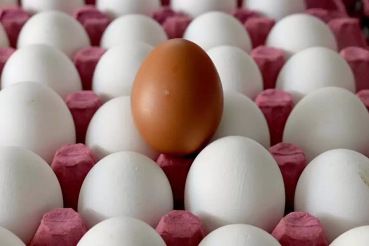 Enflasyon rakamları açıklandı!