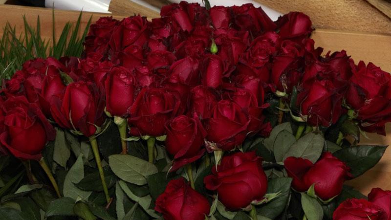 Çiçekçilerde Sevgililer Günü mesaisi