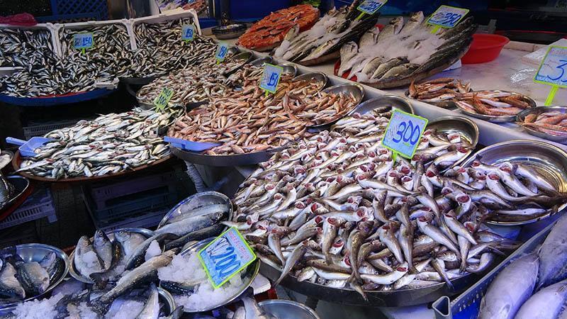 Karadenizli bu kış hamsiye hasret kaldı!