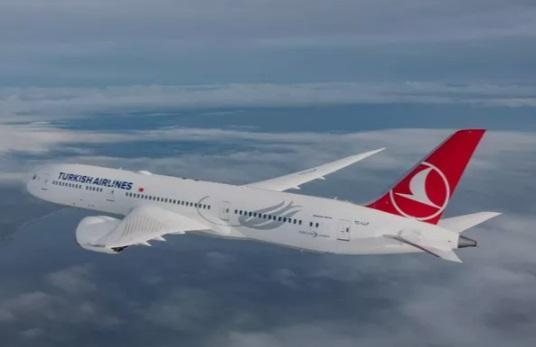 THY, Londra seferlerini iptal etti