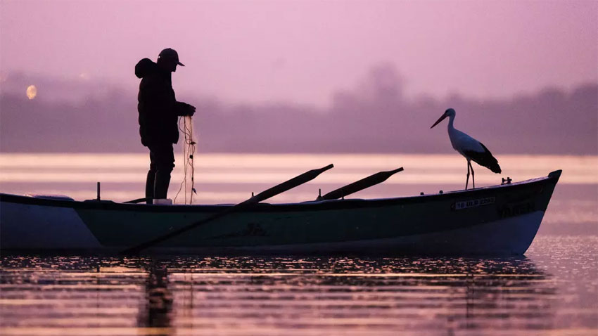Yaren Leylek’i görmek için turist akını