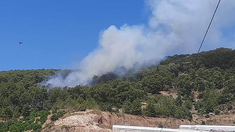Antalya’da orman yangını
