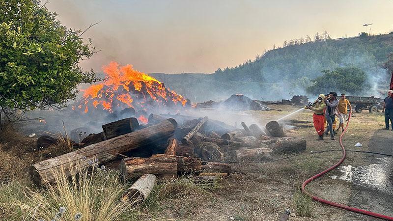 Antalya’da orman yangını paniği