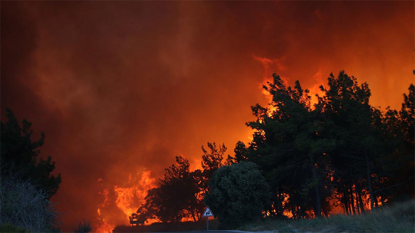 Türkiye orman yangınlarıyla boğuşuyor!