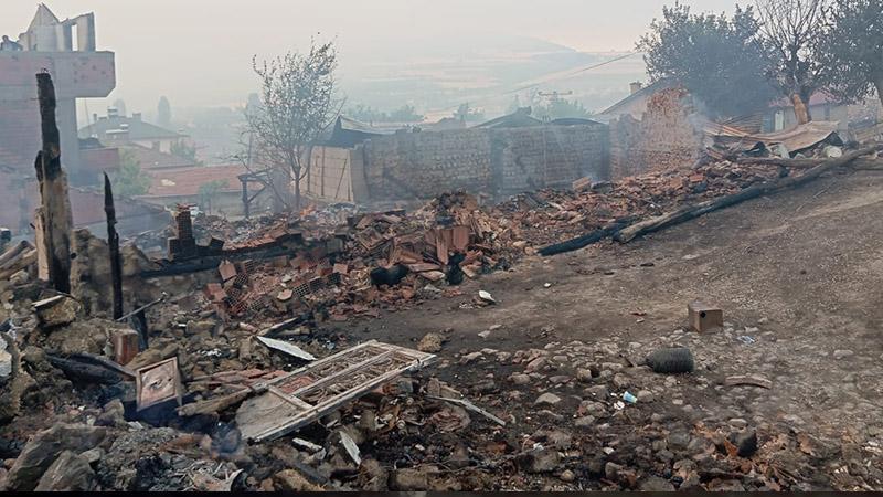 Sakarya’daki orman yangını küle çevirdi