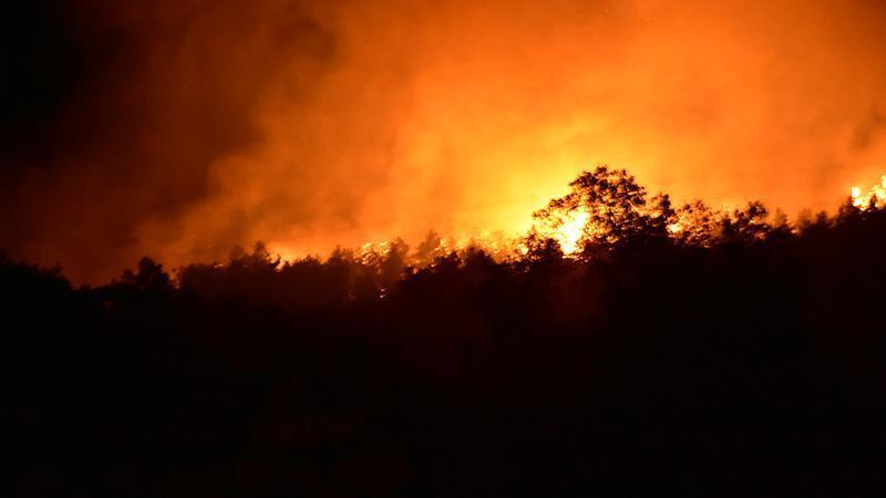 İzmir’de orman yangını