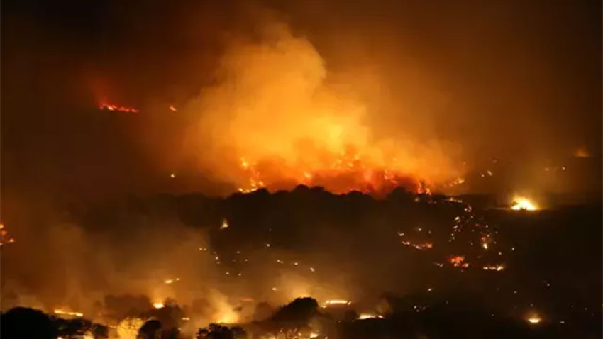 Orman yangınlarında son durum