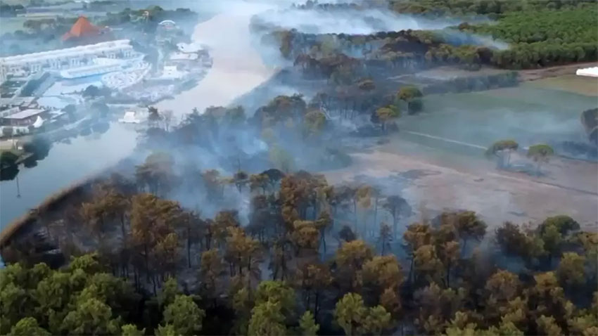Antalya’da orman yangını korkuttu